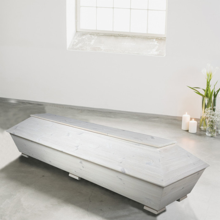 Ikihonka valkokuulto Ikihonka valkokuulto