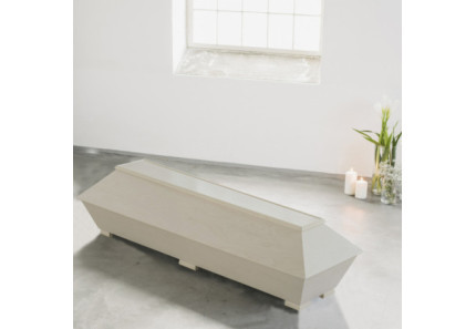 Koivu sileä Koivu sileä