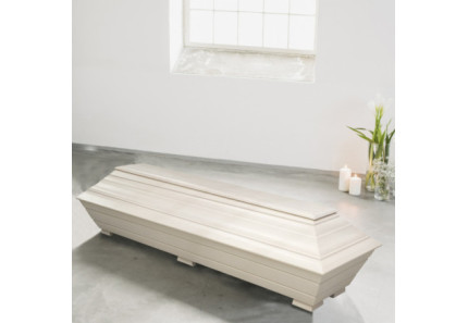 Honkanummi valkokuulto