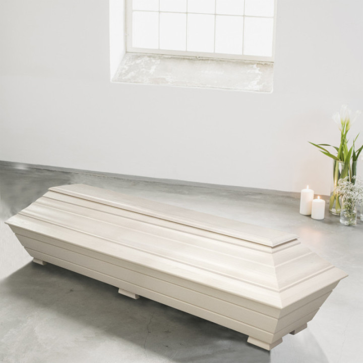 Honkanummi valkokuulto